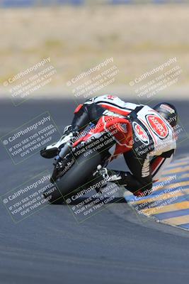 media/May-13-2023-SoCal Trackdays (Sat) [[8a473a8fd1]]/Turn 11 Backside (945am)/